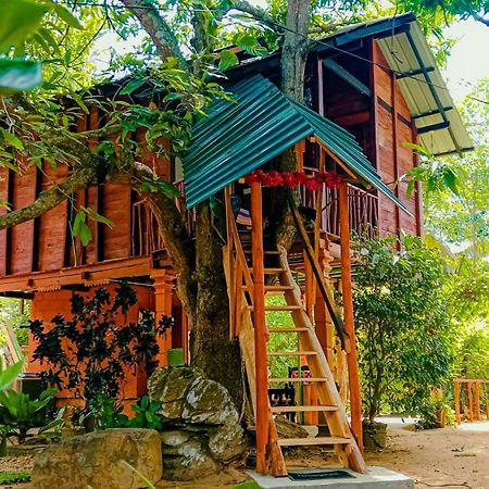 סיגירייה Sigiri Sky Home & Treehouse מראה חיצוני תמונה