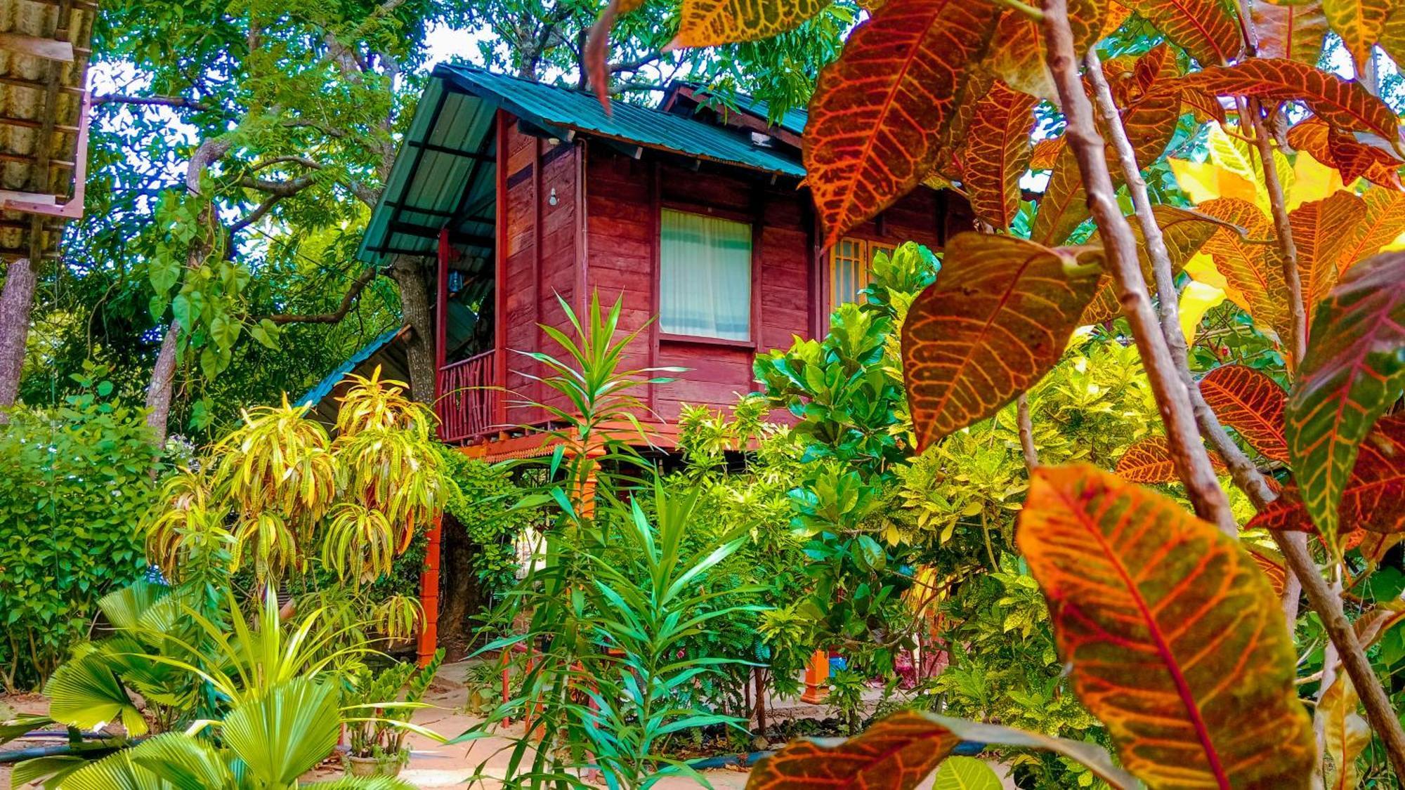 סיגירייה Sigiri Sky Home & Treehouse מראה חיצוני תמונה