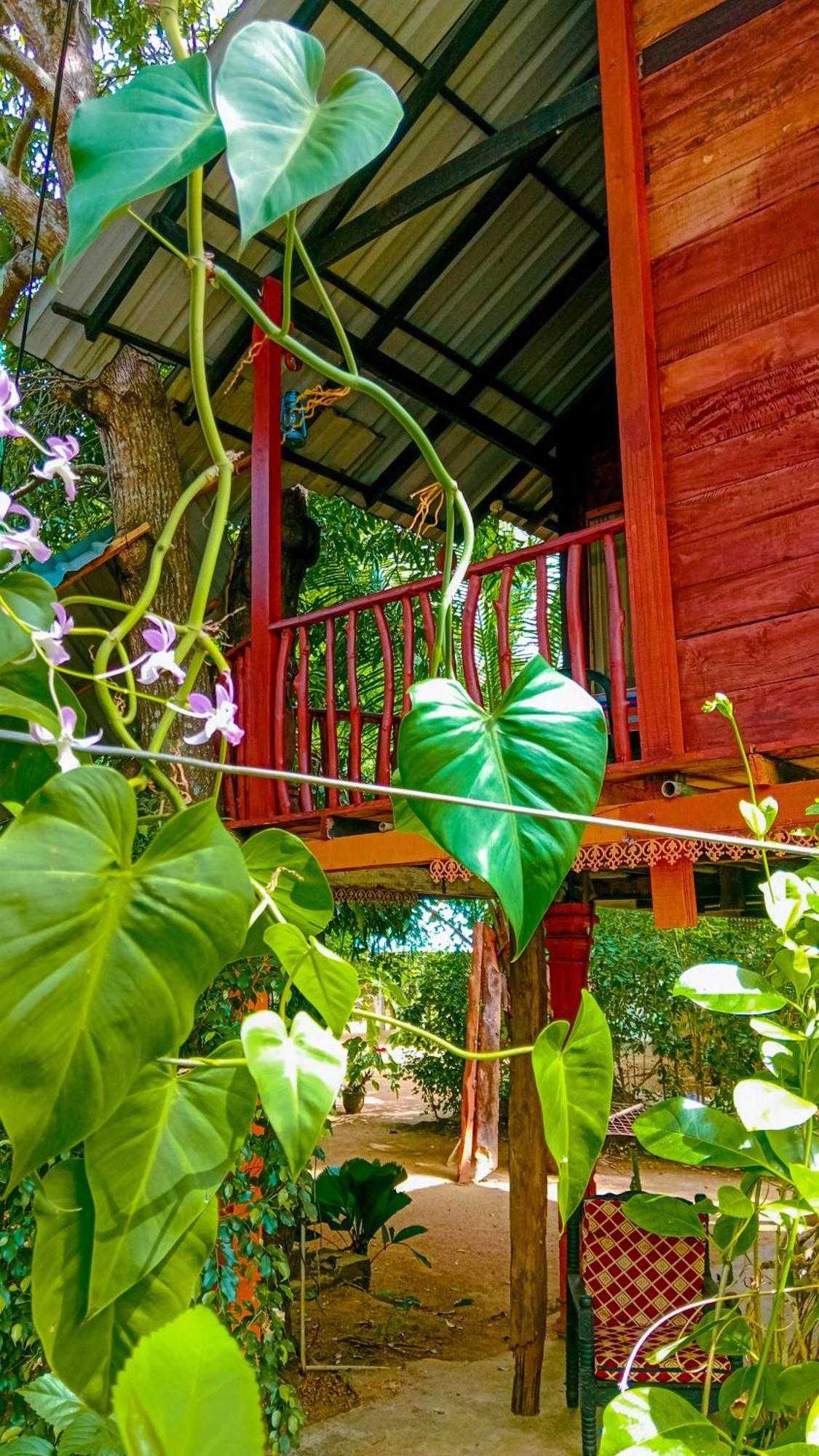 סיגירייה Sigiri Sky Home & Treehouse מראה חיצוני תמונה