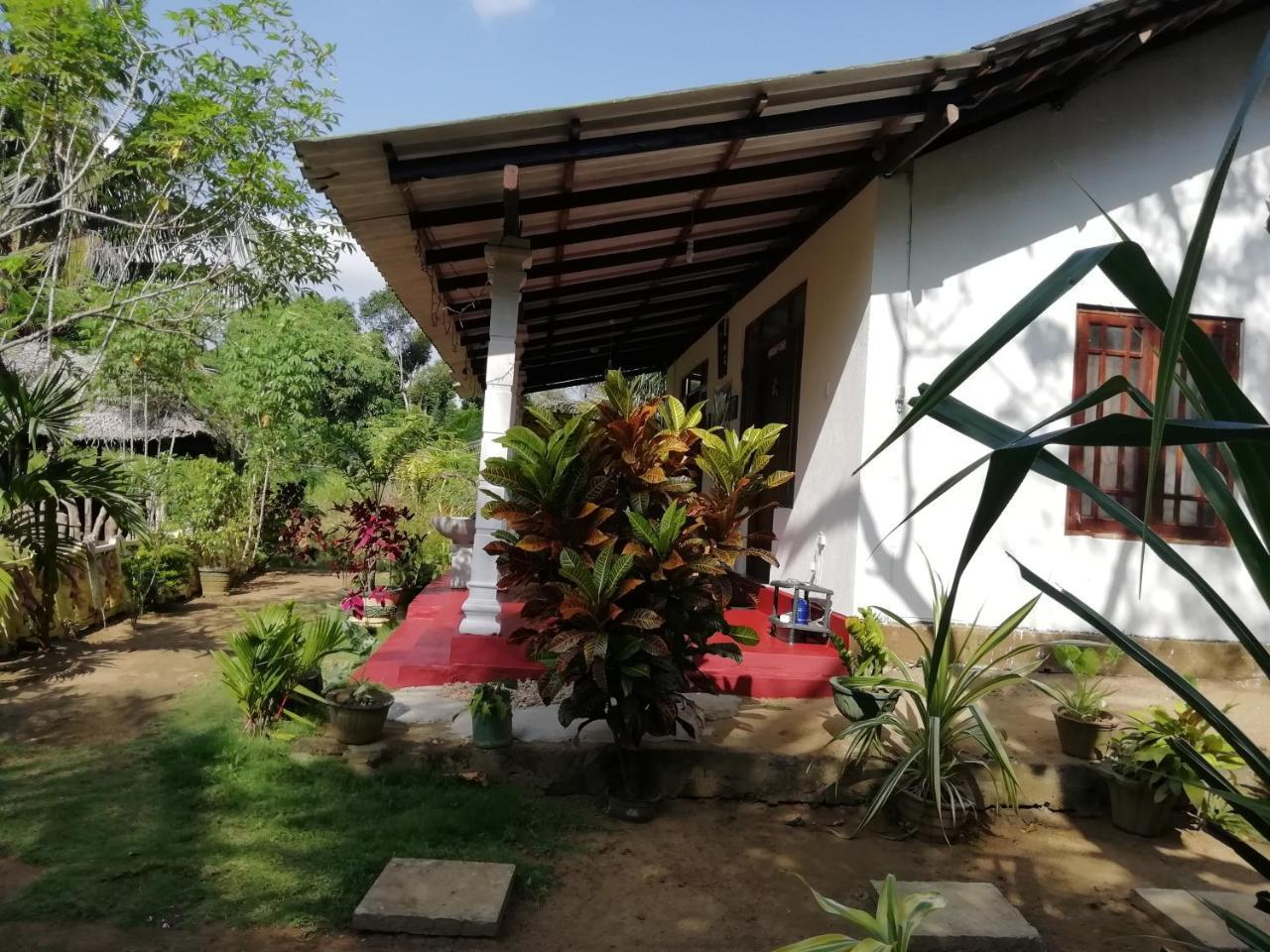 סיגירייה Sigiri Sky Home & Treehouse מראה חיצוני תמונה