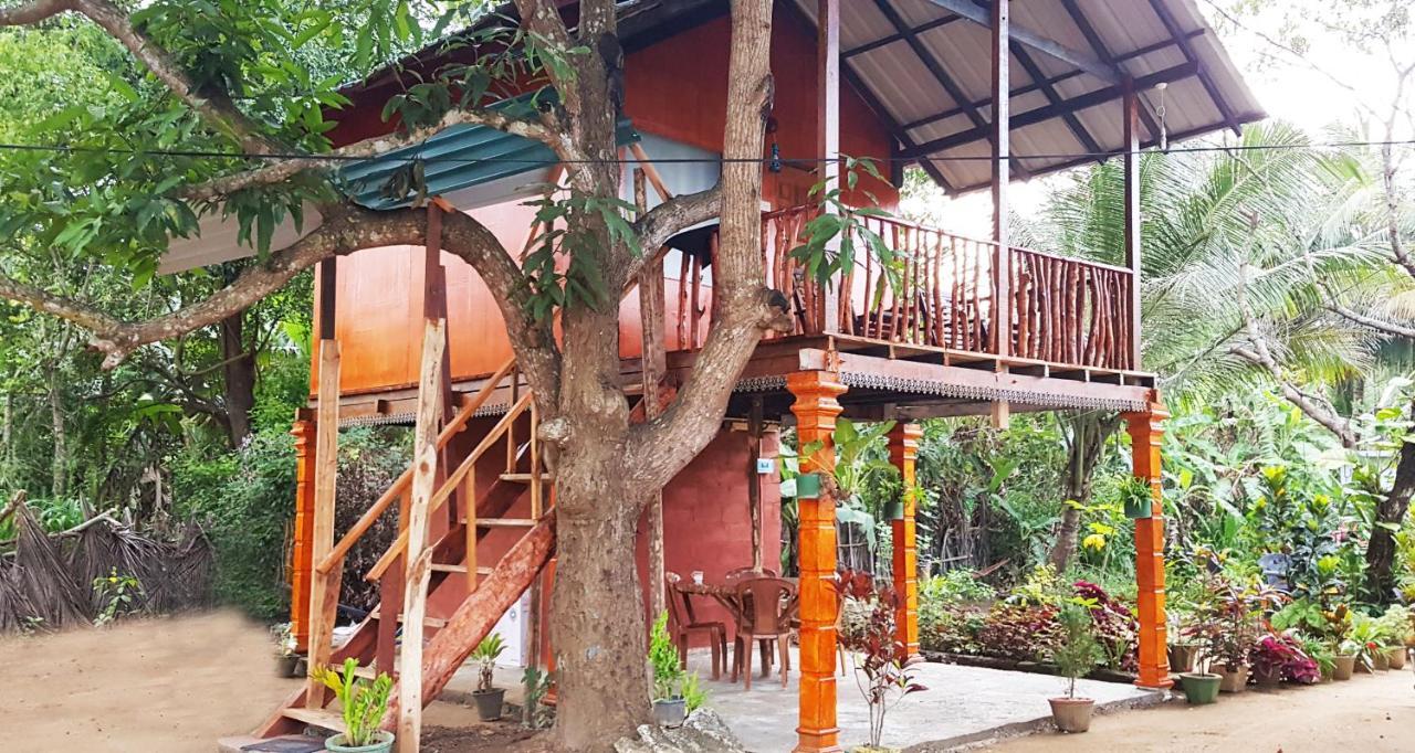 סיגירייה Sigiri Sky Home & Treehouse מראה חיצוני תמונה